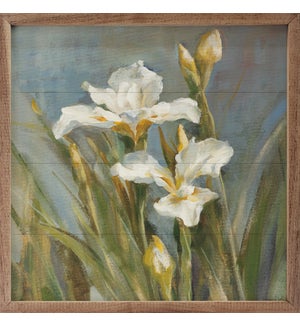 Spring Iris II By Danhui Nai